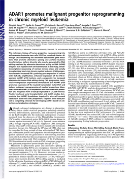 ADAR1 Promotes Malignant Progenitor Reprogramming in Chronic Myeloid Leukemia