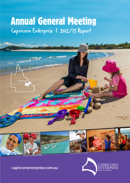 Annual General Meeting Capricorn Enterprise I 2012/13 Report