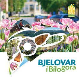 Bjelovar-Bilogora