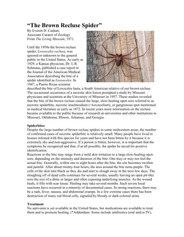 “The Brown Recluse Spider” by Everett D