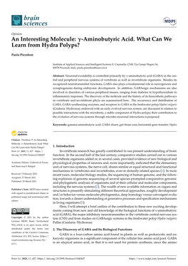 Aminobutyric Acid. What Can We Learn from Hydra Polyps?