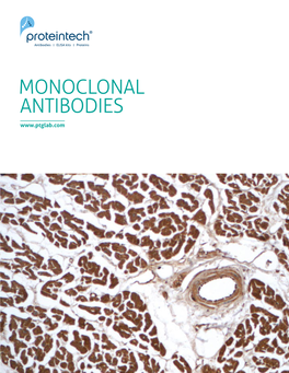 MONOCLONAL ANTIBODIES 2 Monoclonal Antibodies