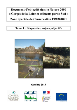 Document D'objectifs Du Site Natura 2000 « Gorges De La Loire Et Affluents Partie Sud » (FR8301081), Son Historique, Son Contenu