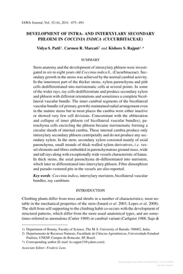 Development of Intras and Interxylary Secondary