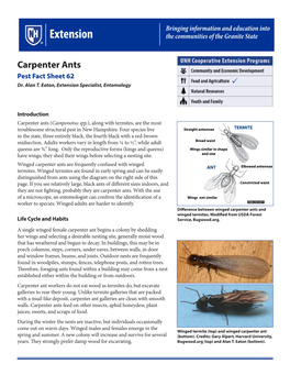 Carpenter Ants Pest Fact Sheet 62 Dr