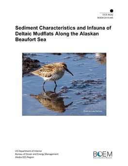 Sediment Characteristics and Infauna of Deltaic Mudflats Along the Alaskan Beaufort Sea