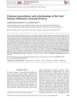 Umbonal Musculature and Relationships of the Late Triassic