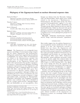 Phylogeny of the Zygomycota Based on Nuclear Ribosomal Sequence Data