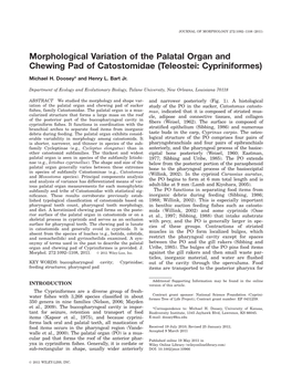 Morphological Variation of the Palatal Organ and Chewing Pad of Catostomidae (Teleostei: Cypriniformes)