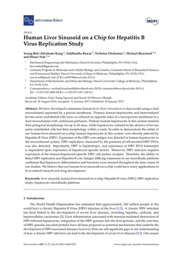 Human Liver Sinusoid on a Chip for Hepatitis B Virus Replication Study