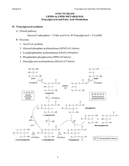 Handout 8 Triacylglycerol and Fatty Acid Metabolism ANSC/NUTR 618 LIPIDS & LIPID METABOLISM Triacylglycerol and Fatty Acid Metabolism