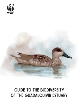 Guide to the Biodiversity of the Guadalquivir Estuary Misión Posible Is a Project of WWF Spain with the Support of the Coca-Cola Foundation