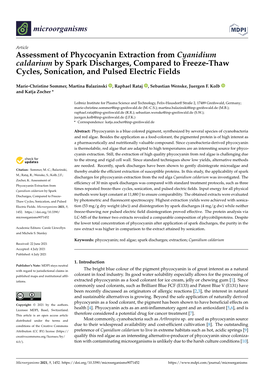 Assessment of Phycocyanin Extraction from Cyanidium Caldarium by Spark Discharges, Compared to Freeze-Thaw Cycles, Sonication, and Pulsed Electric Fields