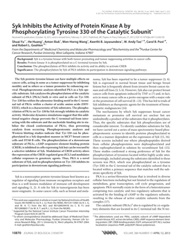 Syk Inhibits the Activity of Protein Kinase a By