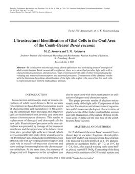 Ultrastructural Identification of Glial Cells in the Oral Area of the Comb-Bearer Beroё Cucumis M