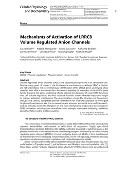 Mechanisms of Activation of LRRC8 Volume Regulated Anion Channels