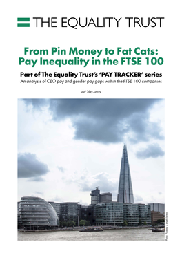 From Pin Money to Fat Cats: Pay Inequality in the FTSE