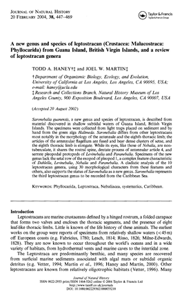 Crustacea: Malacostraca: Phyllocarida) from Guana Island, British Virgin Islands, and a Review of Leptostracan Genera