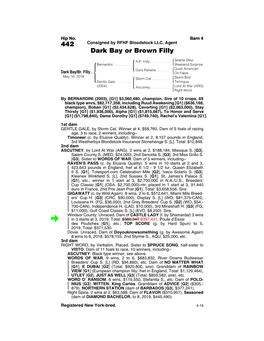 442 Consigned by RFHF Bloodstock LLC, Agent Dark Bay Or Brown Filly