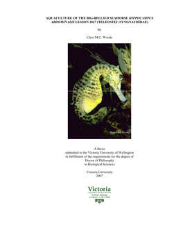 Aquaculture of the Big-Bellied Seahorse Hippocampus Abdominalis Lesson 1827 (Teleostei: Syngnathidae)