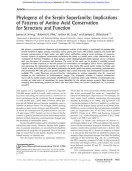 Phylogeny of the Serpin Superfamily: Implications of Patterns of Amino Acid Conservation for Structure and Function