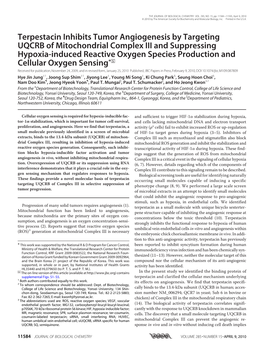 Terpestacin Inhibits Tumor Angiogenesis by Targeting UQCRB of Mitochondrial Complex III and Suppressing Hypoxia-Induced Reactive