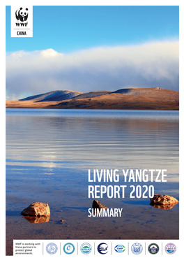 Living Yangtze Report 2020 Summary
