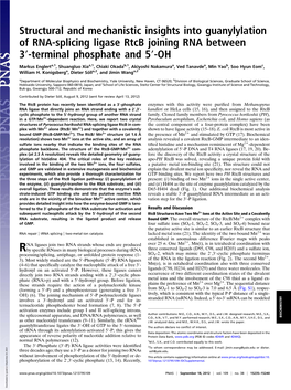 Terminal Phosphate and 5′-OH