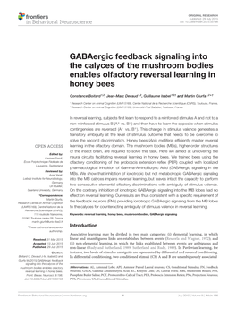Gabaergic Feedback Signaling Into the Calyces of the Mushroom Bodies Enables Olfactory Reversal Learning in Honey Bees