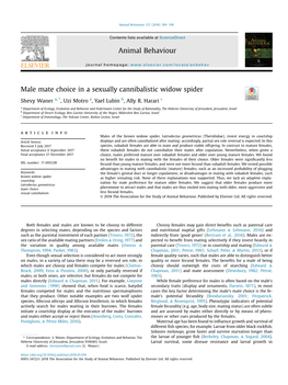 Male Mate Choice in a Sexually Cannibalistic Widow Spider