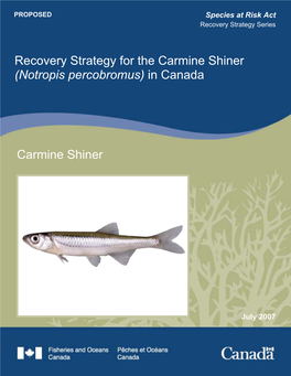 Recovery Strategy for the Carmine Shiner (Notropis Percobromus) in Canada [Proposed]