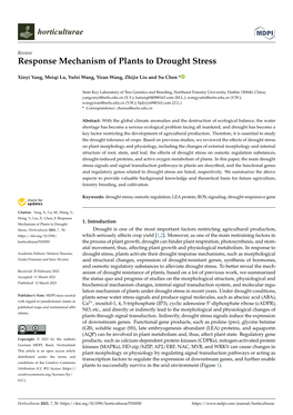 Response Mechanism of Plants to Drought Stress