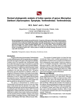 Revised Phylogenetic Analysis of Indian Species of Genus Macrophya Dahlbom (Hymenoptera: Symphyta; Tenthredinidae: Tenthredininae)