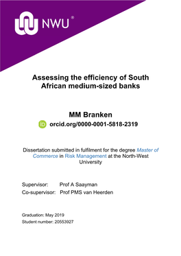 Assessing the Efficiency of South African Medium-Sized Banks MM