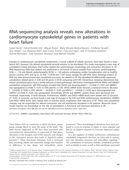 RNA-Sequencing Analysis Reveals New Alterations in Cardiomyocyte Cytoskeletal Genes in Patients with Heart Failure