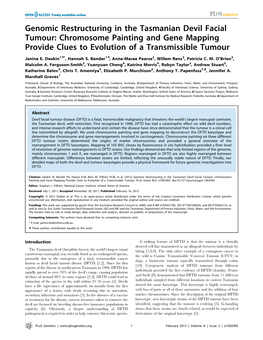 Genomic Restructuring in the Tasmanian Devil Facial Tumour: Chromosome Painting and Gene Mapping Provide Clues to Evolution of a Transmissible Tumour