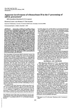 Apparent Involvement of Ribonuclease D in the 3' Processing of Trna Precursors* (Trna Biosynthesis/Ribonuclease II/-C-C-A Sequence) HENRYK CUDNY and MURRAY P