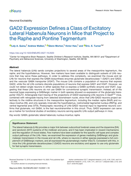 GAD2 Expression Defines a Class of Excitatory Lateral Habenula Neurons in Mice That Project to the Raphe and Pontine Tegmentum