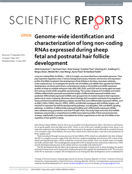 Genome-Wide Identification and Characterization of Long Non-Coding
