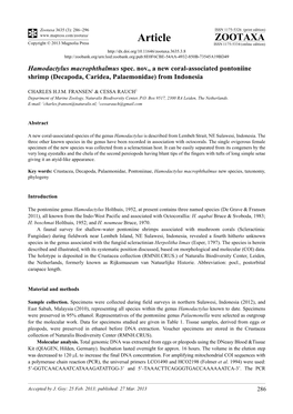 Hamodactylus Macrophthalmus Spec. Nov., a New Coral-Associated Pontoniine Shrimp (Decapoda, Caridea, Palaemonidae) from Indonesia