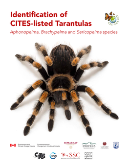 Identification of CITES-Listed Tarantulas Aphonopelma, Brachypelma and Sericopelma Species