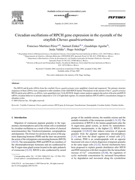 Circadian Oscillations of RPCH Gene Expression in the Eyestalk of the Crayﬁsh Cherax Quadricarinatus