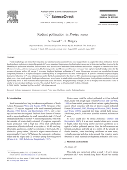 Rodent Pollination in Protea Nana ⁎ A