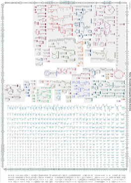 Generate Metabolic Map Poster