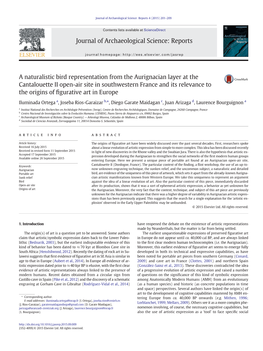 A Naturalistic Bird Representation from the Aurignacian Layer at The