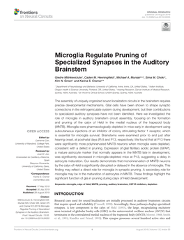 Microglia Regulate Pruning of Specialized Synapses in the Auditory Brainstem