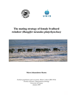 The Mating Strategy of Female Svalbard Reindeer (Rangifer Tarandus Platyrhynchus)