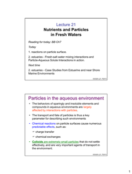 Particles in the Aqueous Environment