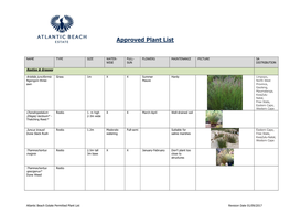 Approved Plant List