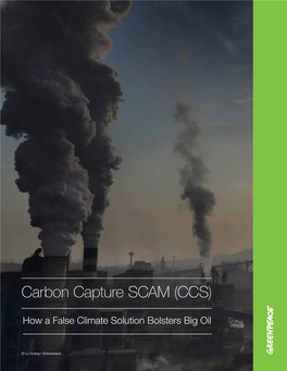 Carbon Capture SCAM (CCS)